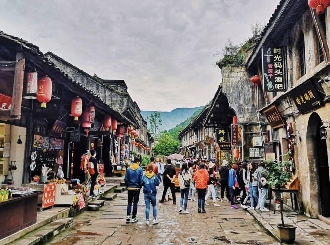 不吃饭,只吃水果能减肥吗-搜一搜你想知道的